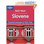 Fast Talk Slovene: Essential Language for Short Trips (Lonely Planet) (Slovene Edition)