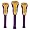 Louisiana State Tigers