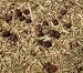 Adrenal Support Tea One Ounce Adrenal Support Tea One Ounce