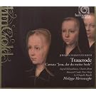 Trauerode/Jesu,der du Meine Seele