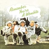 Remember You`re A Womble