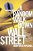 A Random Walk Down Wall Street Seventh Edition