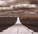 Jimmy Lafave-Favorites 1992-2001