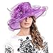 Fascinators Kentucky Derby Church Veil Dress Large Cocktail Party Hat S042