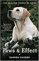 Paws & Effect (the Healing Power of Dogs) (Paperback)