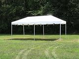 Celina Tent Frame Tent Package 10 &acute; X 20 &acute; #FTP1020AW - B000VEVTBY