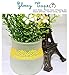 MassMall Cute Lace Flower Clear DIY Decorative Sticky Paper Masking Adhesive Tape (Pink/Yellow/Blue)