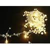 2M Pearl Beaded Garland 20 Warm White LED Lights (L70)