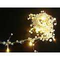 2M Pearl Beaded Garland 20 Warm White LED Lights (L70)