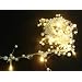 2M Pearl Beaded Garland 20 Warm White LED Lights (L70)