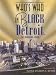 Books : Who's Who In Black Detroit: The Third Edition