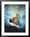 Man Rock Climbing in the Big Horn Mountains of Wyoming Framed Art Poster Print by Bobby Model, 25x31
