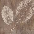 Imprint I vON Lisa Audit, 31x31
