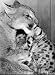 Puma Parenting - Canvas - 30x45cm - Art247 Canvas Print