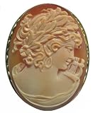Master Carved Carnelian Conch Shell Cameo Pin Pendant Italian