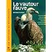 Le vautour fauve : Description Evolution R�partition Reproduction Observation Protection