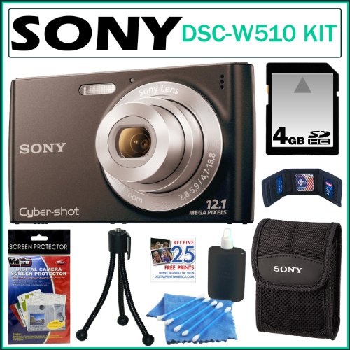 Sony Cyber-Shot DSC-W510 12.1 MP Digital Camera with 4x Wide-Angle Zoom and 2.7-inch LCD in Black + 4GB Accessory Kit