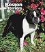 boston terrier - Boston Terriers 2009 Hardcover Weekly Engagement Calendar