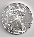 2009 American Silver Eagle Dollar Coin