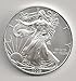 2009 American Silver Eagle Dollar Coin