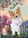 Pembroke Welsh Corgi Sunshine Everyday Cards