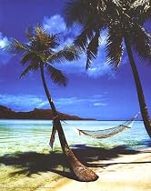 Paradise (Hammock, Beach) Art Poster Print - 16" X 20"