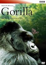 BBCワイルドライフ・スペシャル ゴリラ 密林の王者 [DVD]