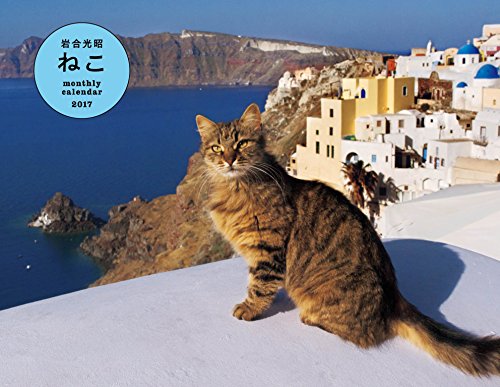 2017岩合光昭ねこカレンダー壁掛け ([カレンダー])