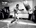 Muhammad Ali (The Fight, w Punching Bag) Sports Poster Print - 16" X 20"