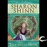 The Thirteenth House: The Twelve Houses, Book 2