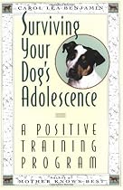 Surviving Your Dog's Adolescence: A Positive Training Program