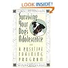 Surviving Your Dog's Adolescence: A Positive Training Program (Howell reference books)