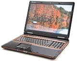 Gateway P-7811FX 17-inch Laptop - Intel® CoreTM 2 Duo 2.26 GHz processor - 4gb Ram - NVIDIA® GeForce® 9800M GTS Video Card