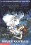 Unicorn Chronicles Book I: Into the Land of the Unicorns