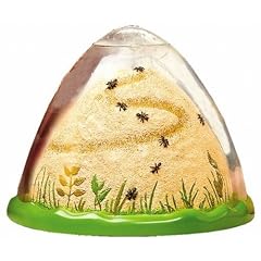 Insect Lore  525510 - Ameisenh�gel