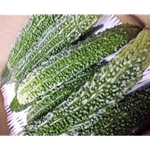 長崎県産 ゴーヤ　（にがうり）　2Lサイズ　10本入り