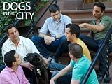 Dogs In The City: Eating House And Home