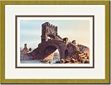 Gold Framed/Matted Print 17x23, Ponte Salaro