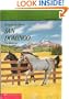 San Domingo: The medicine hat stallion