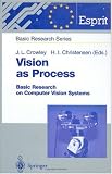 Vision as Process
