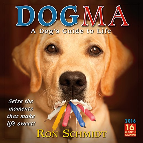Dogma Wall Calendar by Sellers Publishing Inc. 2016