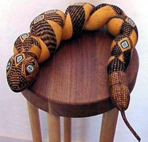 Snake Gourd 5 Seeds - Grow your own slippery snake!