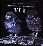 Yli