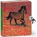 Wild Horse Lock & Key Diary
