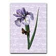 Happy Birthday with Iris - 5" x 7" Vellum Overlay Birthday Greeting Card