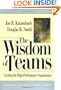 The Wisdom of Teams: Creating the High-Performance Organization