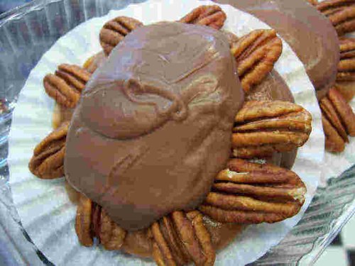 Milk Chocolate Jumbo Pecan Caramel Turtle, 1 piece by Caramels