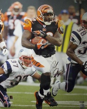 Rudi Johnson signed Cincinnati Bengals 16x20 Photo