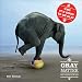 Gray Matter: PQ Publishers Ltd. Why It's Good to Be Old!