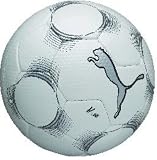 puma FUSSBALL V1.10